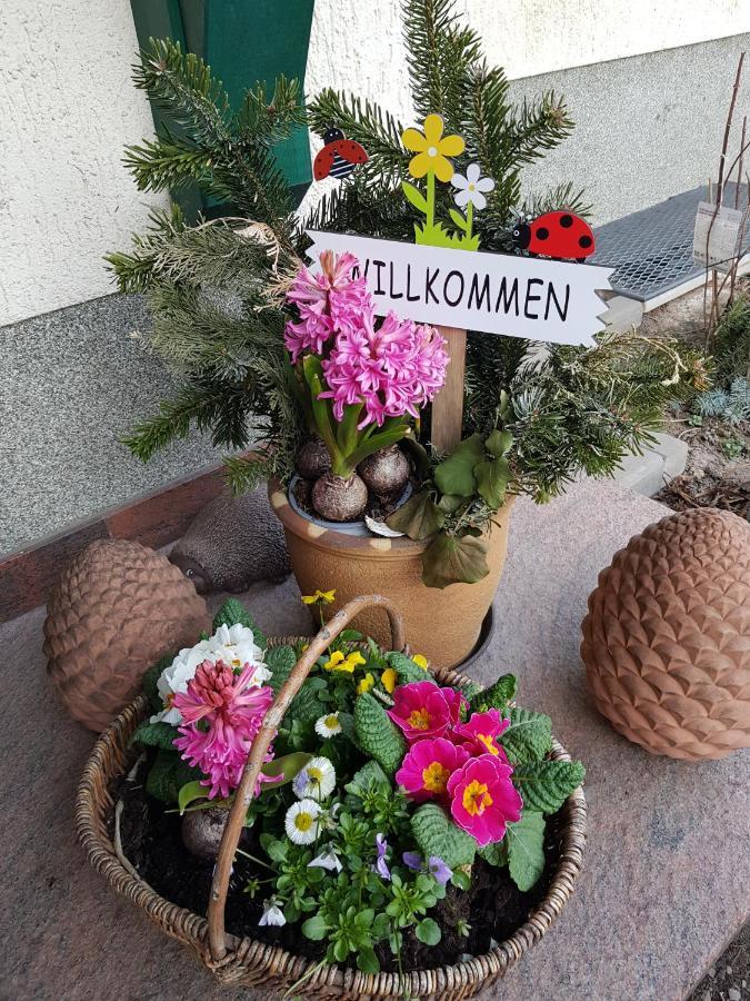Apartment Bismarckhoehe Tharandt